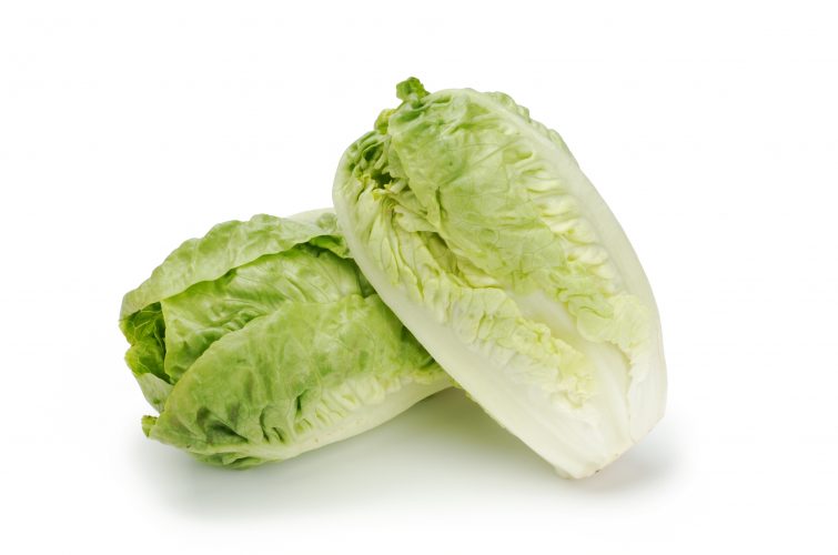 Dos cogollos de lechuga