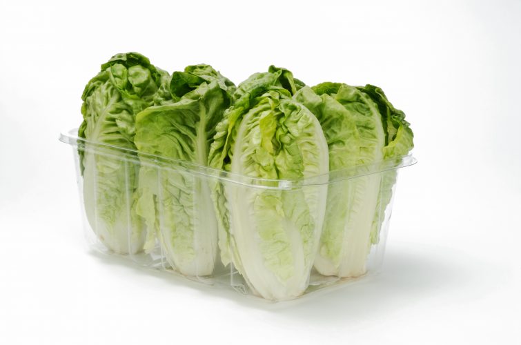 Caja de cogollos de lechuga