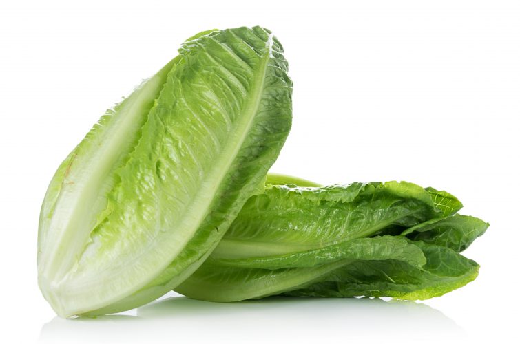 Hojas de lechuga en un fondo blanco